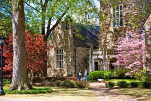 college building with trees