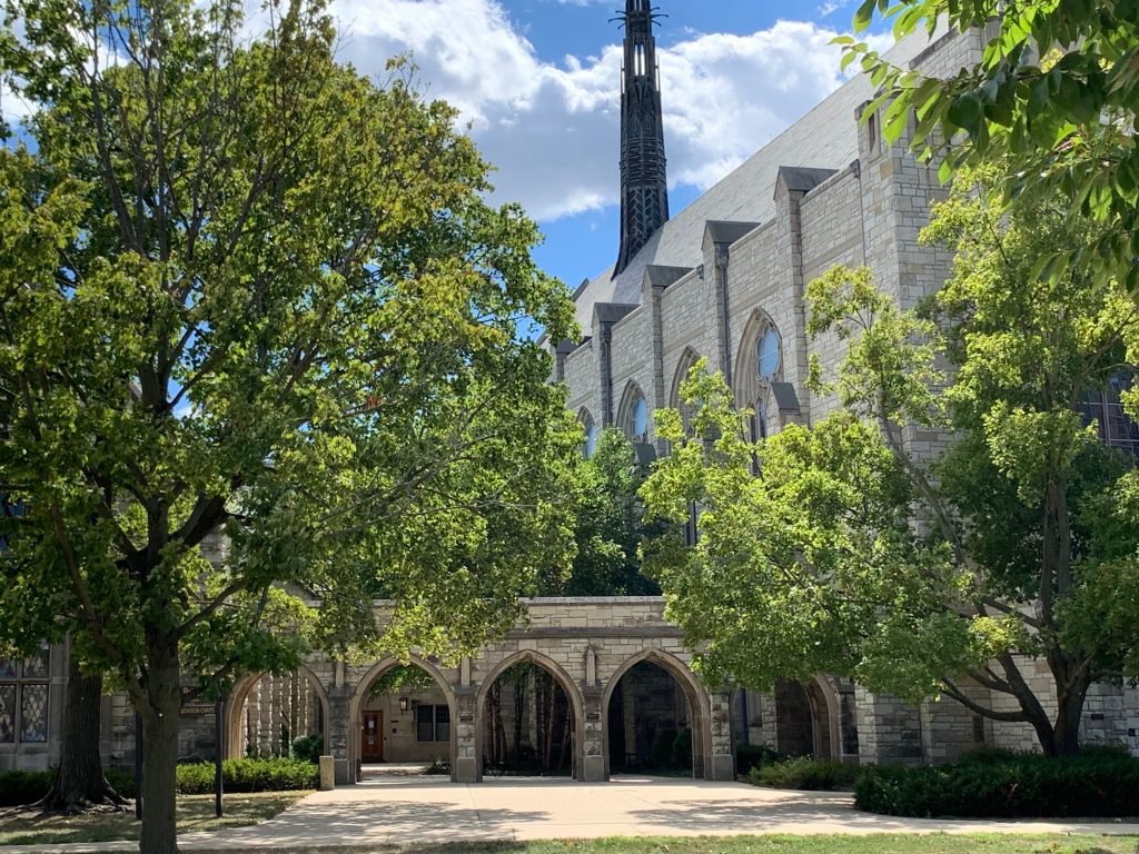 COMMON APP REQUIREMENTS FOR COLLEGE visual data 8