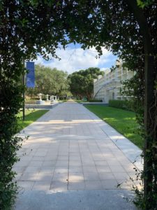 path past college building through a green covered arbor