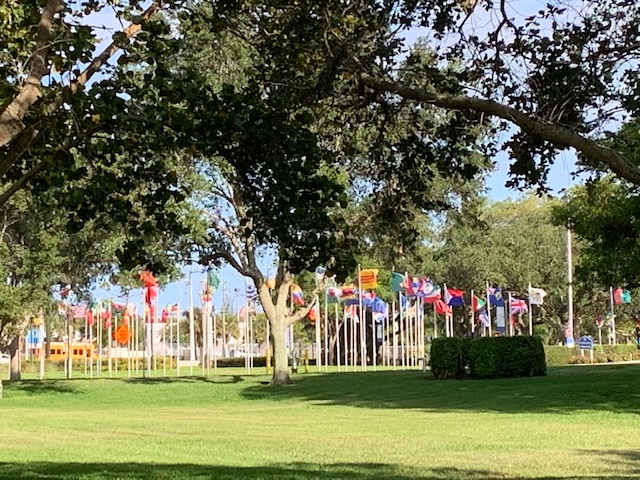 circle of flags from countries around the world, with tree in the foreground